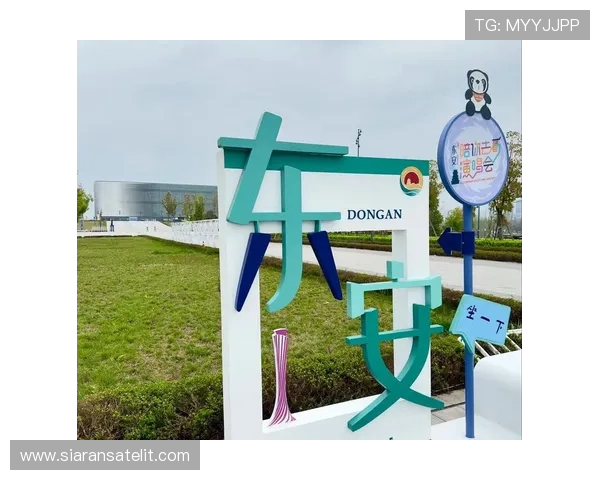 东安湖体育公园周边休闲健身与生态旅游综合指南